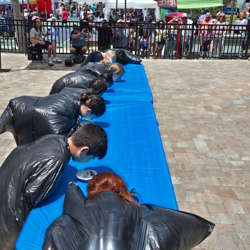 Blueberry Beer and Wine Garden