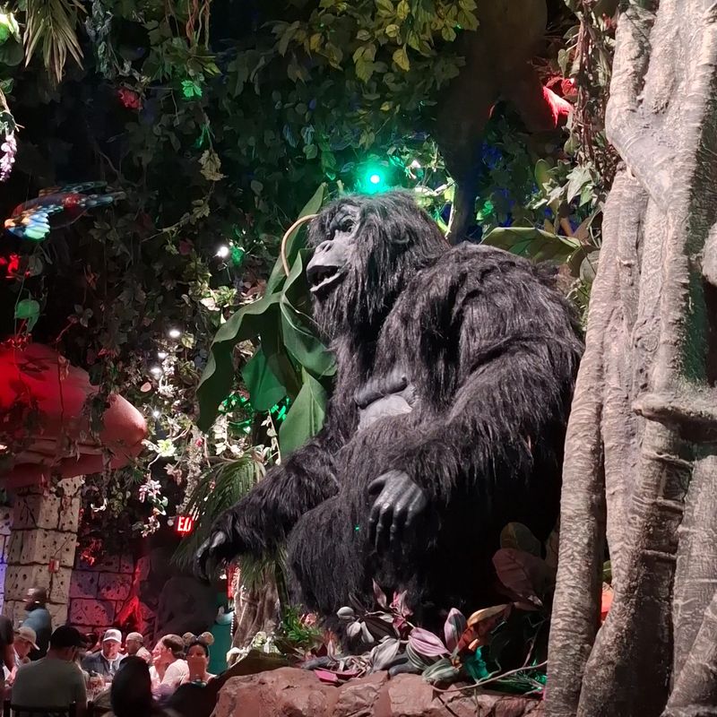 Rainforest Café (Lake Buena Vista - Disney Springs)