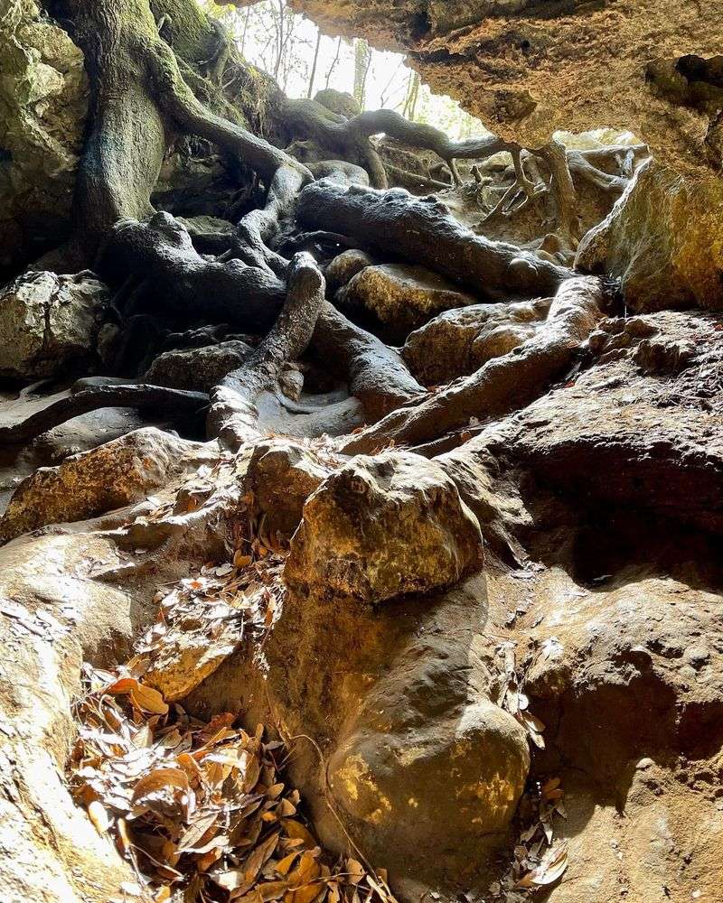 Navigating The Descent Safely