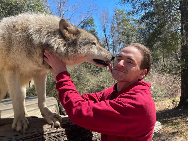 Seacrest Wolf Preserve (Chipley)
