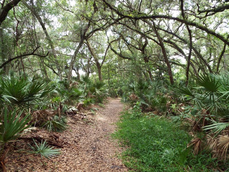 The Enchanted Forest Sanctuary (Titusville)