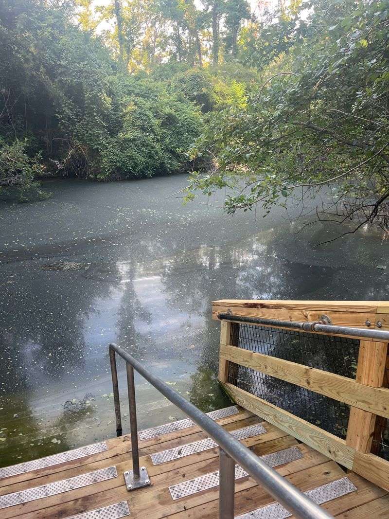 Logistics, Hours, and Best Seasons