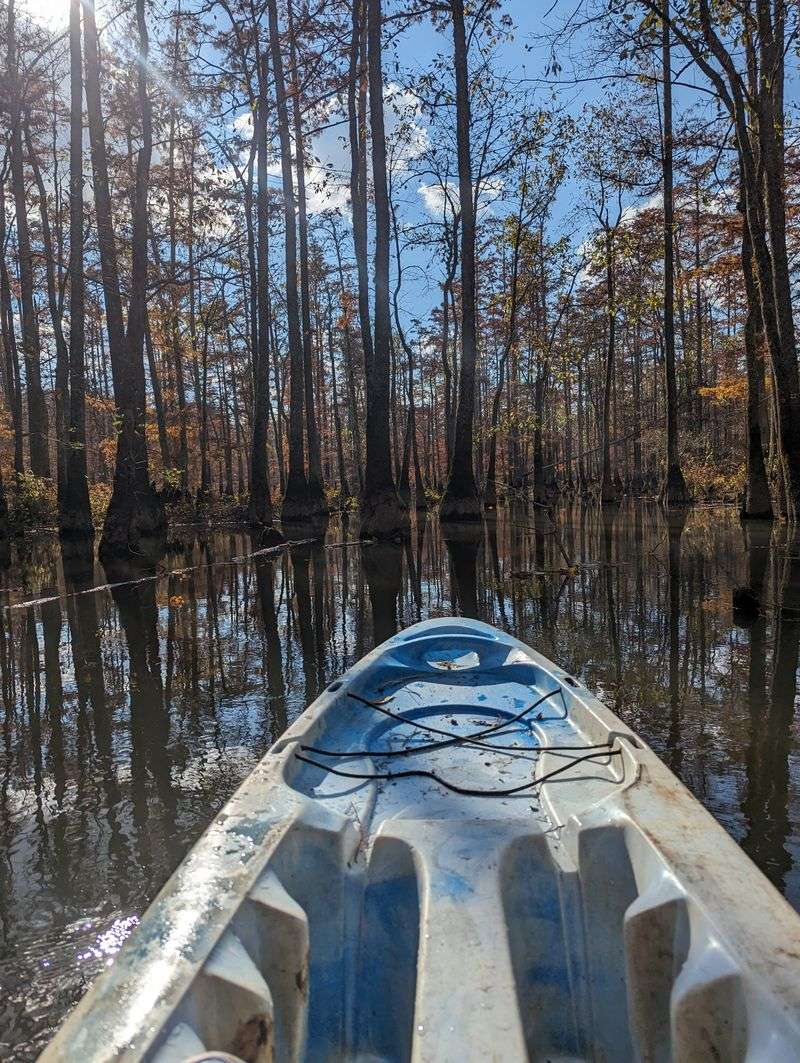 Wolf River – Ghost River Section (La Grange)