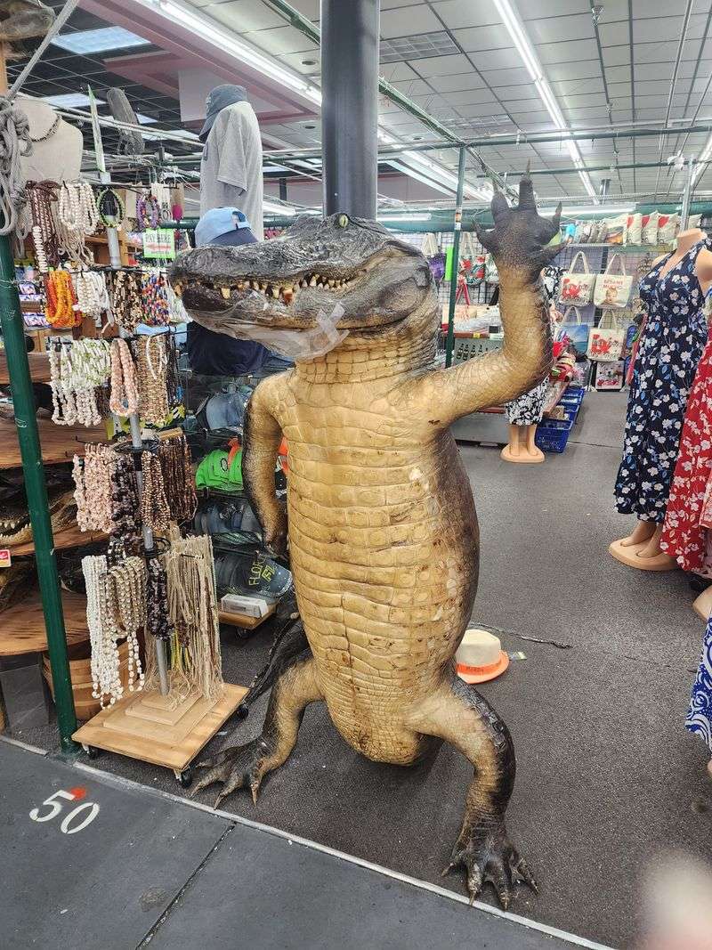 Souvenirs, Gifts, and Custom Tees