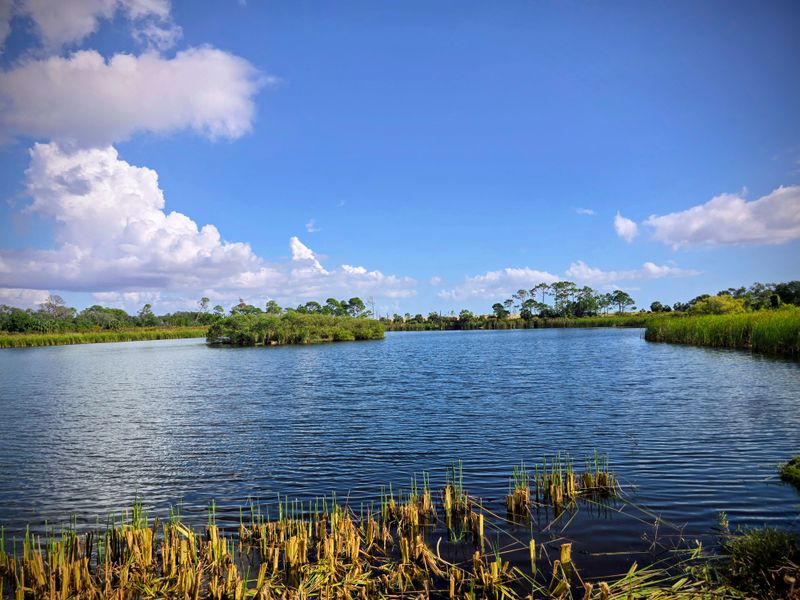 The Best Times to Visit for Maximum Tranquility