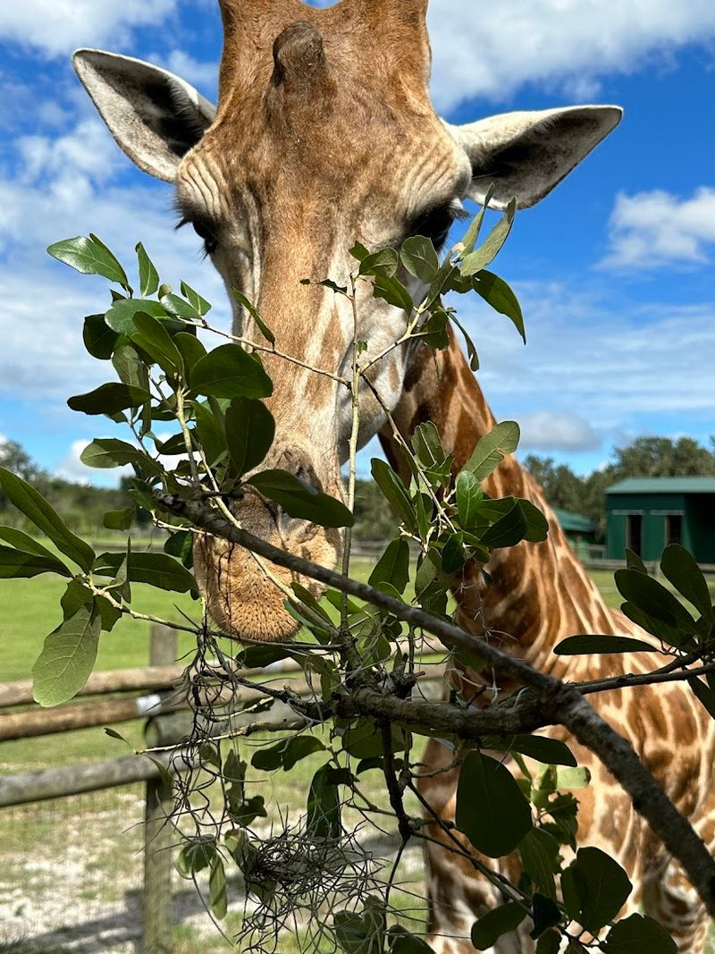 Family-Friendly Tips and Accessibility