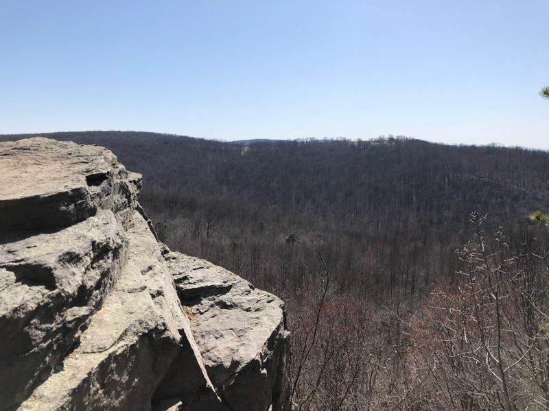 John Litton Farm Loop (Big South Fork)