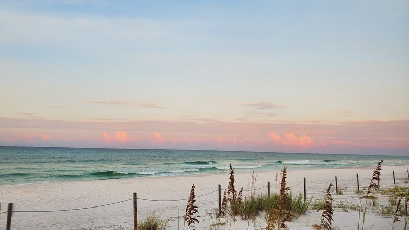 Grayton Beach State Park (30A / Emerald Coast)