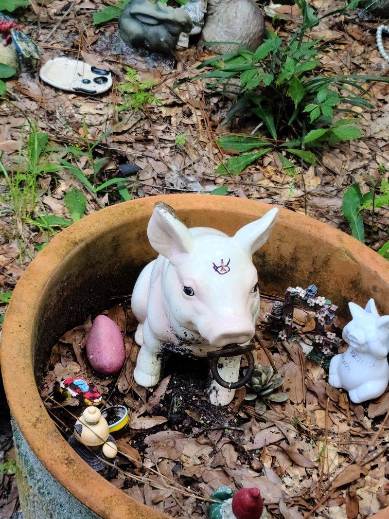 Book a Private Medium Reading