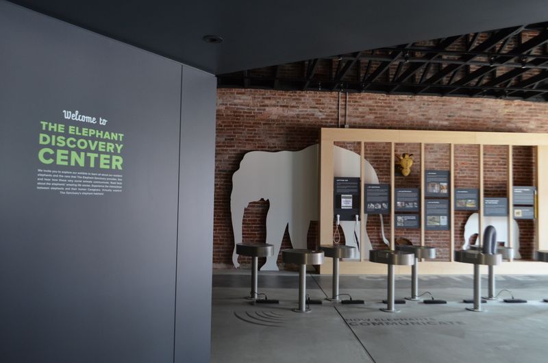 What the Elephant Sanctuary in Tennessee Is—and Why It's So Unique