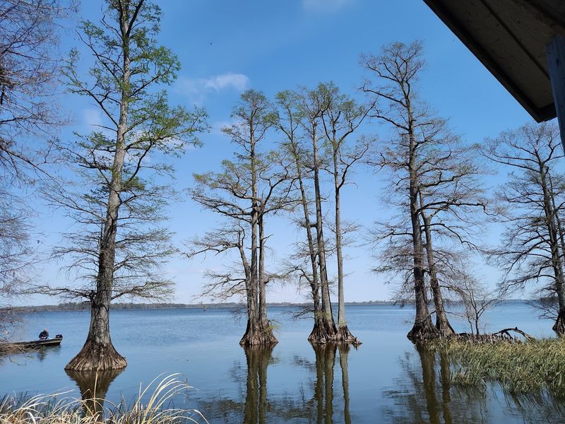 Reelfoot Lake State Park &mdash; Tiptonville