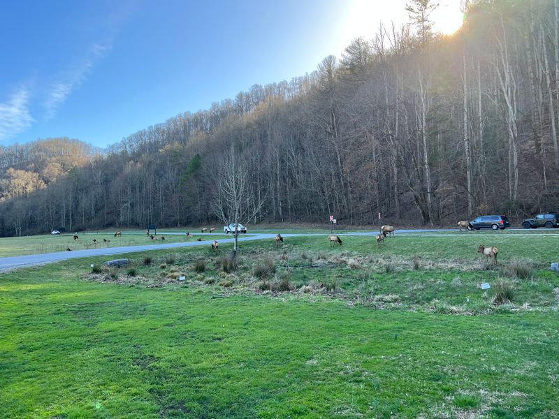 Great Smoky Mountains National Park Backcountry Fields