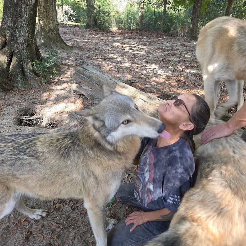 Small Animal Ambassadors