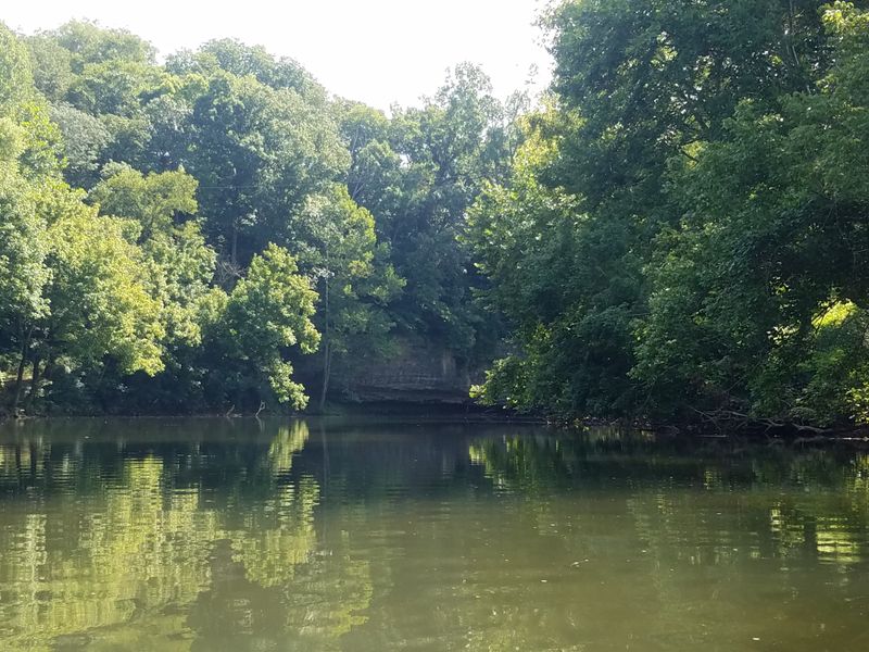 Barren Fork of the Collins River (McMinnville)