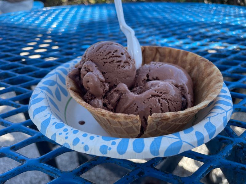 More Than 50 Homemade Flavors—And Yes, Choosing Is Hard