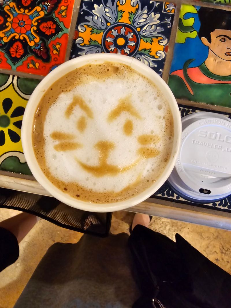 Why Cat Lovers and Coffee Fans Can't Stop Talking About This Spot