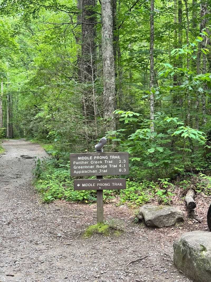 Middle Prong Trail (Great Smoky Mountains)