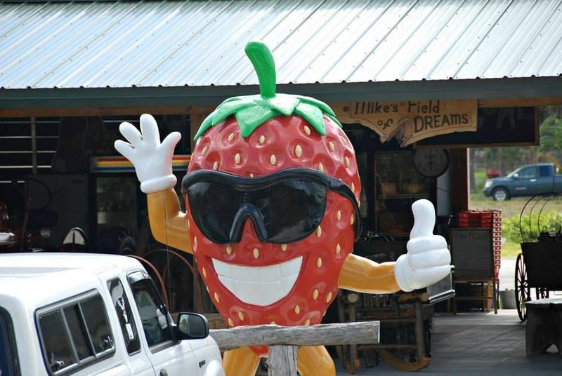Florida Strawberry Festival (Plant City) — Feb 26–Mar 8, 2026