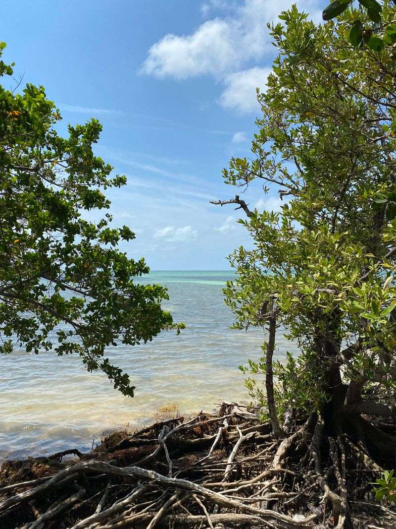 Anne’s Beach (Islamorada)