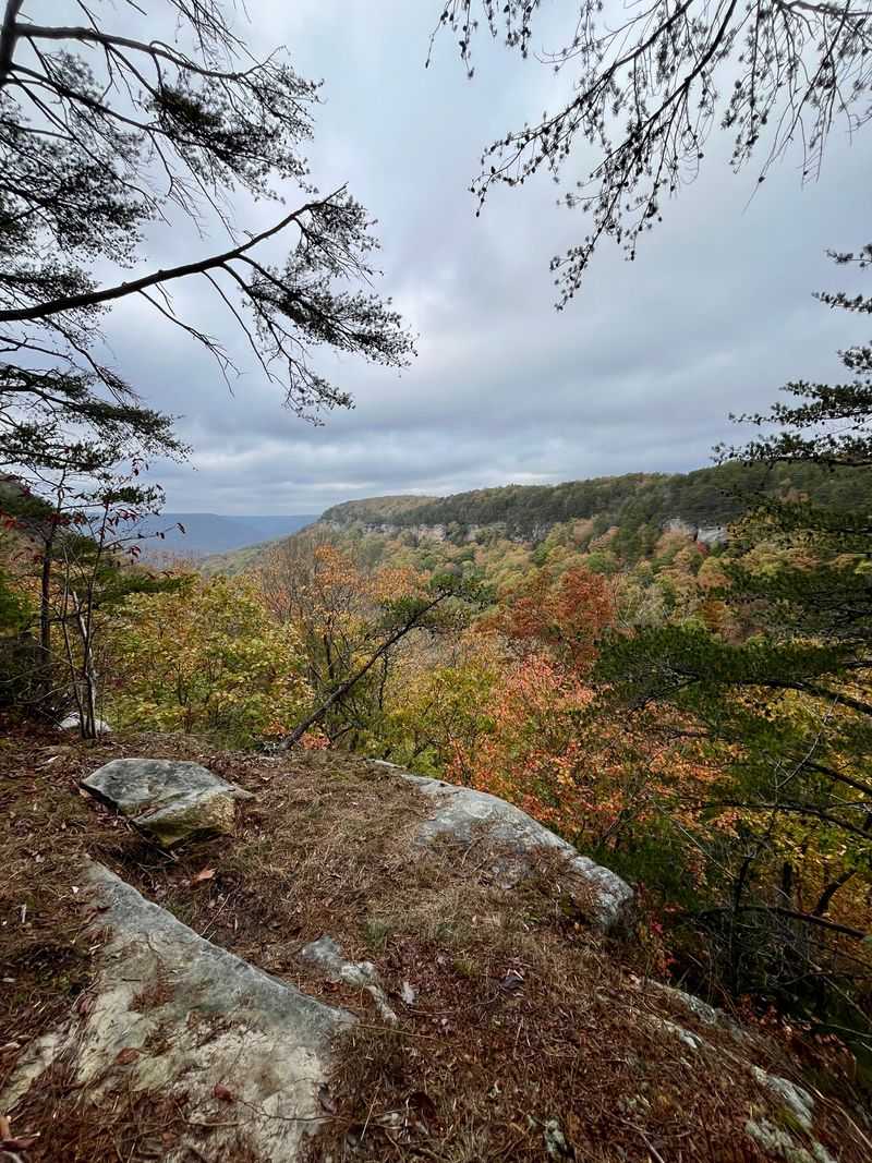 Savage Falls via East Entrance