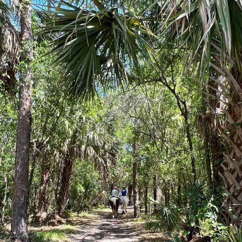 Making the Most of Your Visit