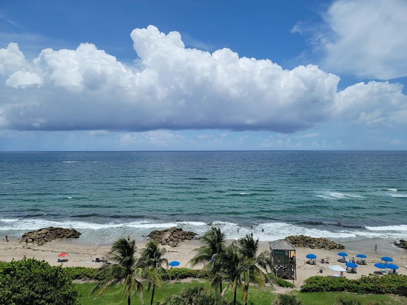 Why Boynton Beach Belongs on Your Florida Wildlife Bucket List