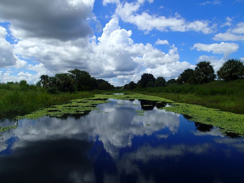 St. Johns River (central and north sections)