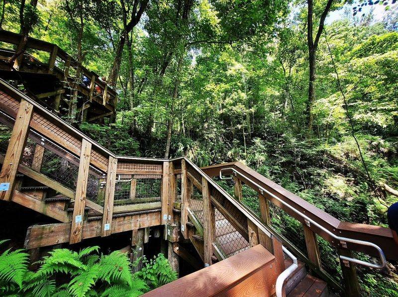 Boardwalk And Stairs: Effort Made Easy