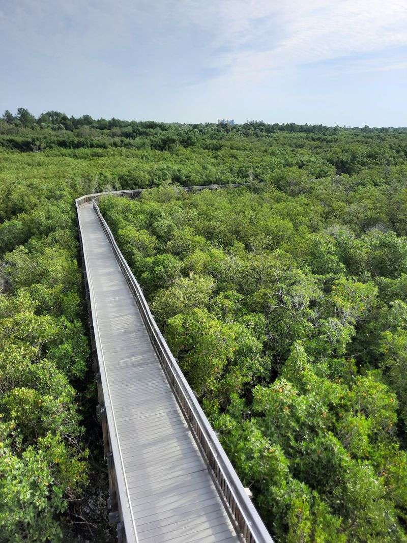 Weeden Island Preserve (St. Petersburg)