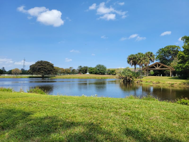 Community Vibe and Seasonal Events