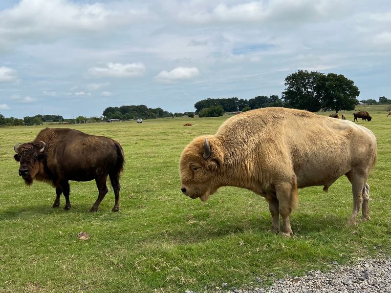 When to Visit, How Long It Takes, and What to Expect