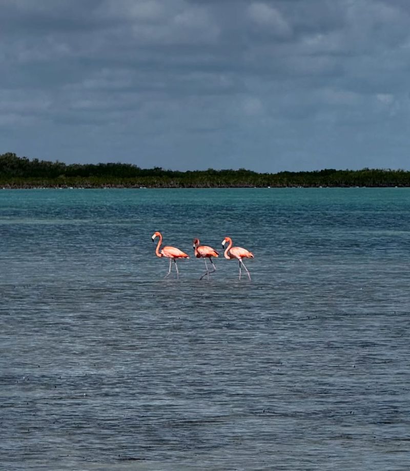 Florida Keys near Key West Coastal Waters