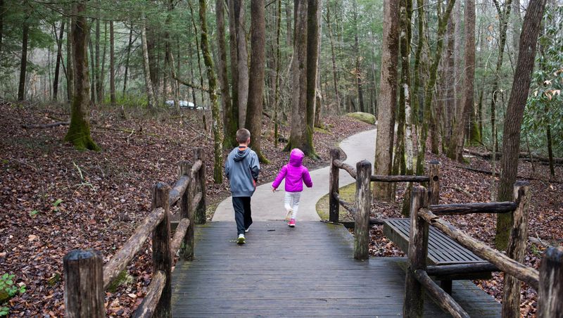 Sugarlands Valley Nature Trail
