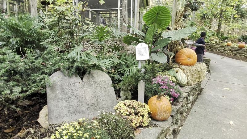 Walking Through Gardens That Feel Like Another World