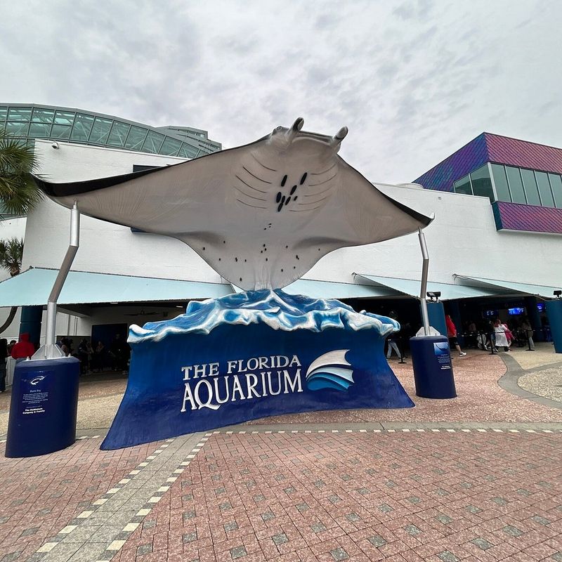 The Florida Aquarium (Tampa)