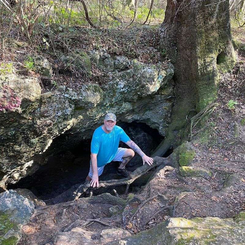 Best Times, Hours, And Conditions