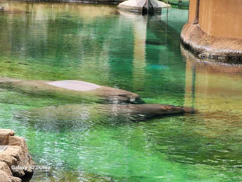 Northwest Passage and Sea Lion Shows