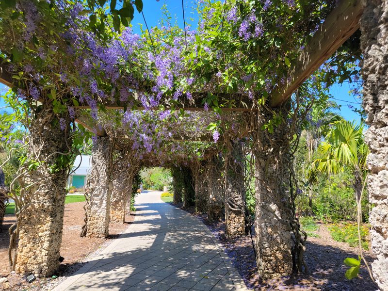 Fogg Café and Relaxed Garden Dining