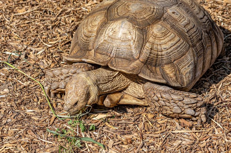 An Indoor Zoo Perfect for Any Weather