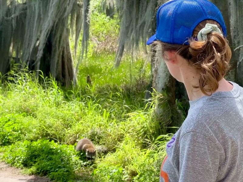 Trail Game Plan: Seasons, Safety, and Best Times