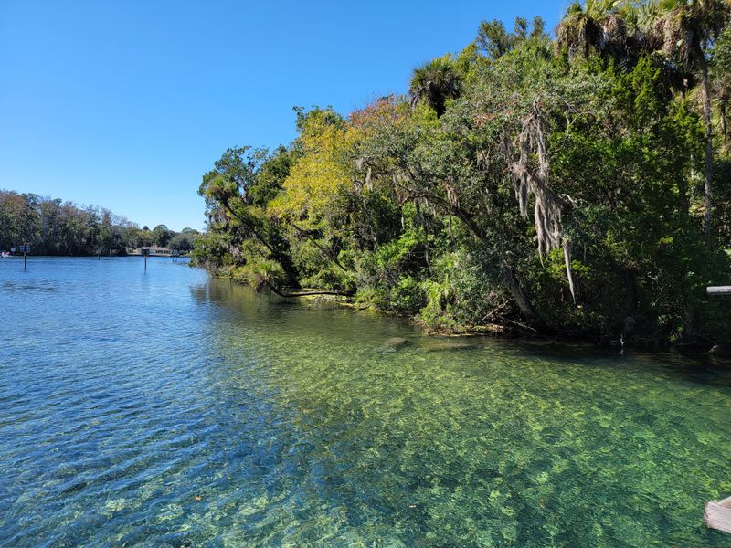 Paddle In, Chill Out