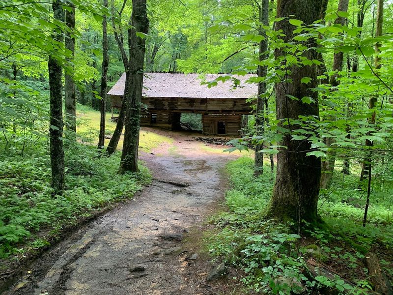 Tips for Visiting (Parking, Crowds, What to Bring)