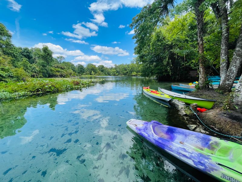 Wekiwa Springs State Park (Apopka)