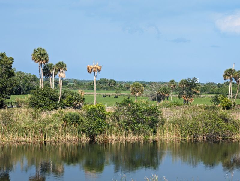 Lake Okeechobee Scenic Trail