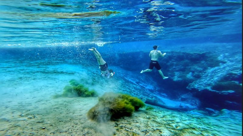 The Head Spring Swim