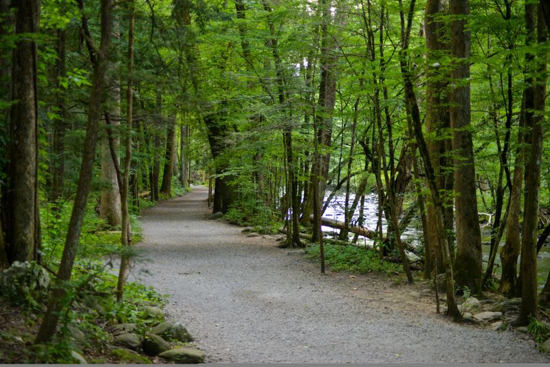Gatlinburg Trail