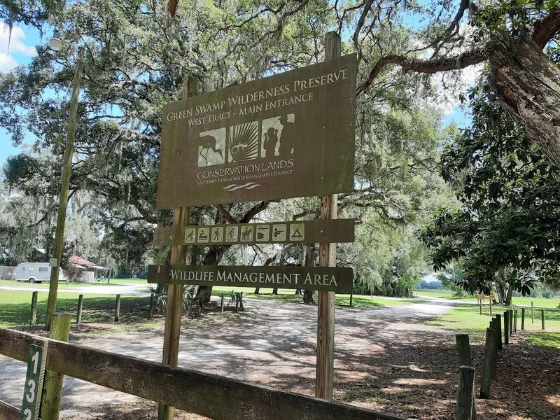 Green Swamp West (Central Florida sandhills + alternating habitats)