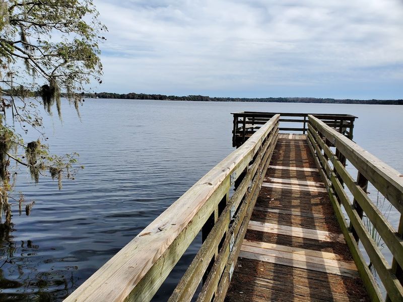 Anclote River Cruises and Dolphin Watching