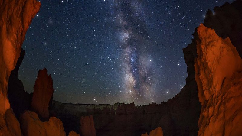 Plan a Florida “dark-sky” night: stargazing + nocturnal wildlife