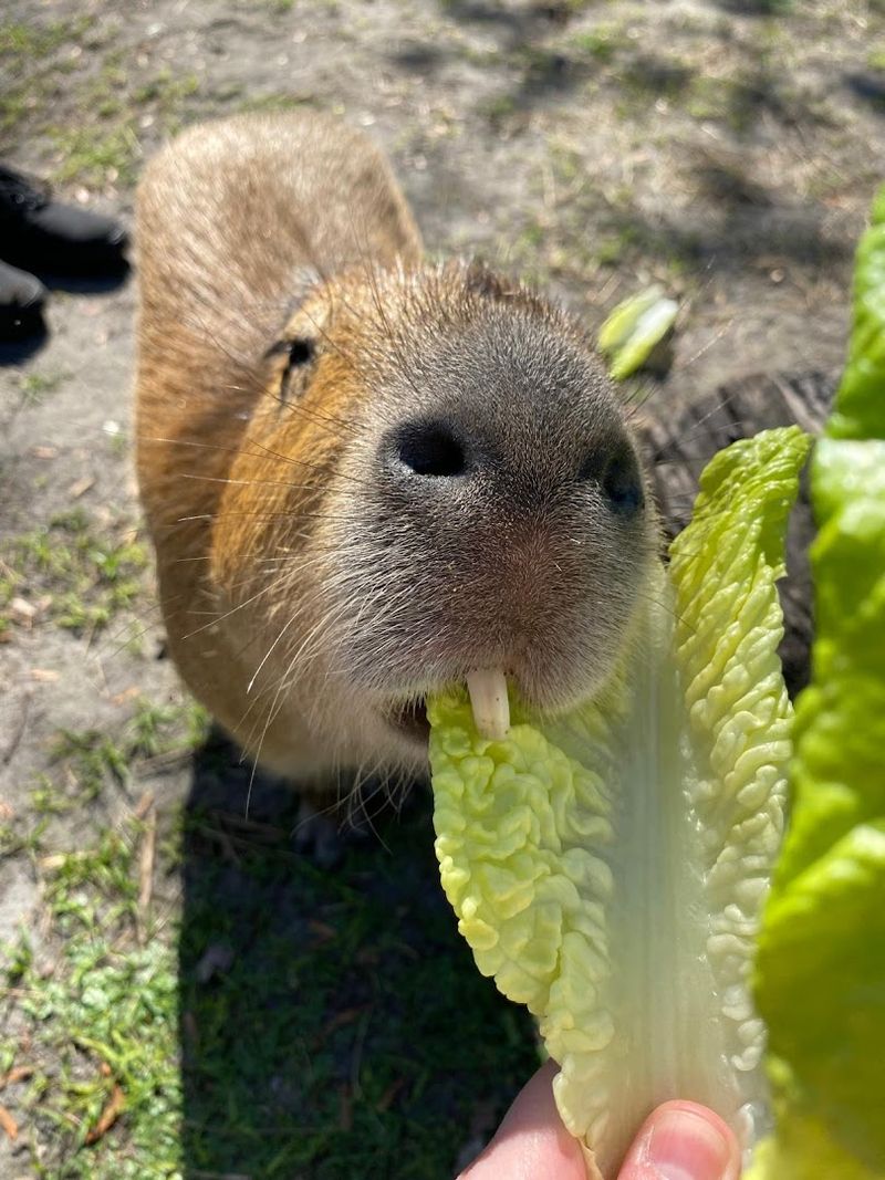 Plan Your Visit Essentials